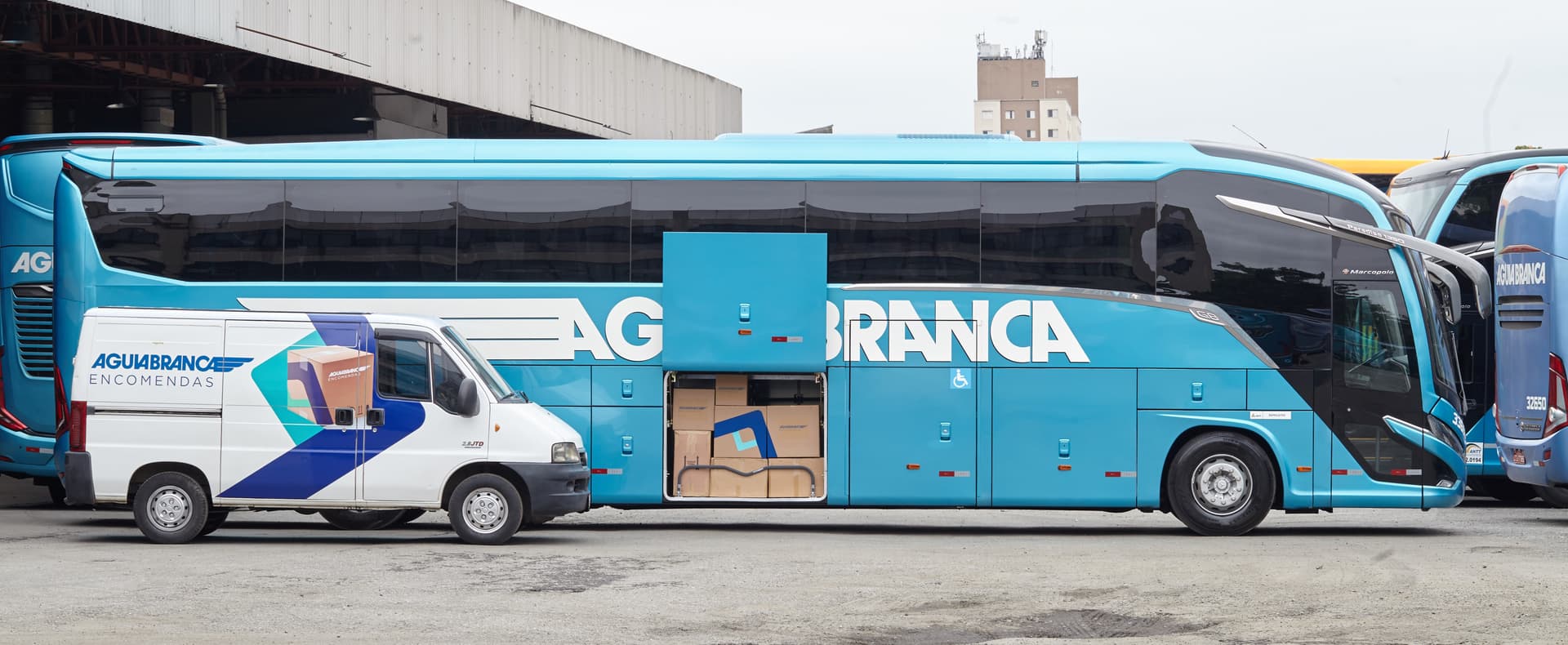 Picture of the author