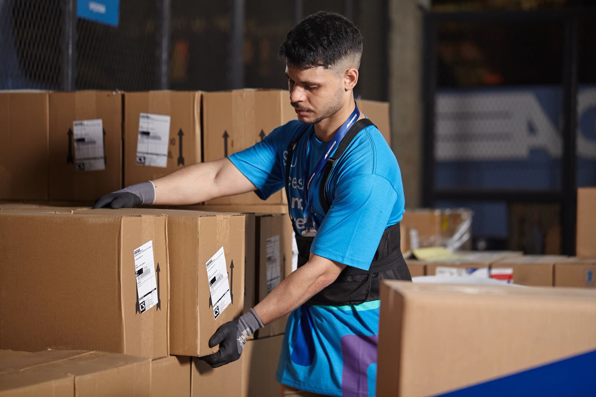 Picture of the author